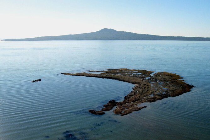 Auckland Coastal Discovery - Private Tour Incl. Wine Tasting - Start Time and End Point