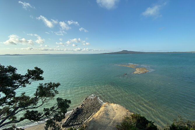 Auckland Coastal Discovery - Private Tour Incl. Wine Tasting - Suitable for All Ages and Fitness Levels