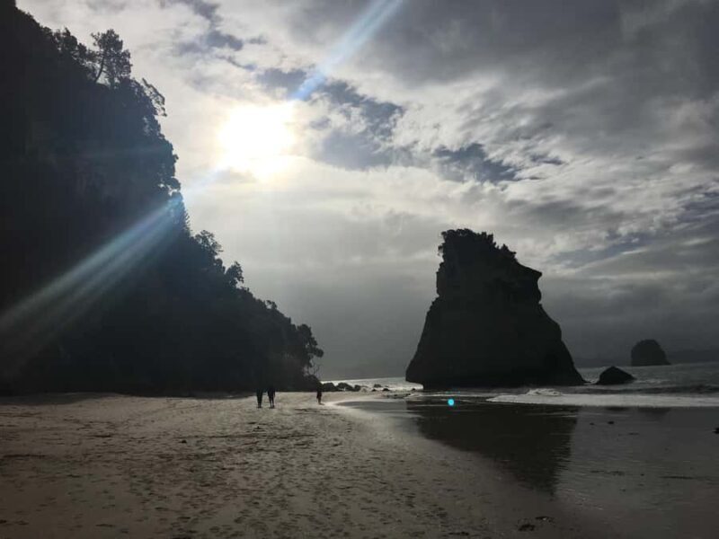 Auckland: Coromandel Day Tour including Hot Water Beach - Good To Know