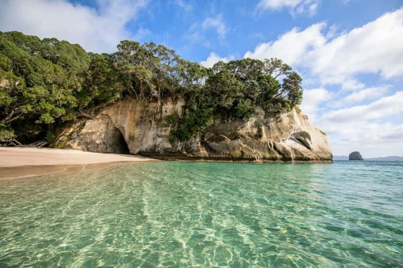 Auckland: Coromandel Driving Creek & Cathedral Cove Day Tour - Good To Know