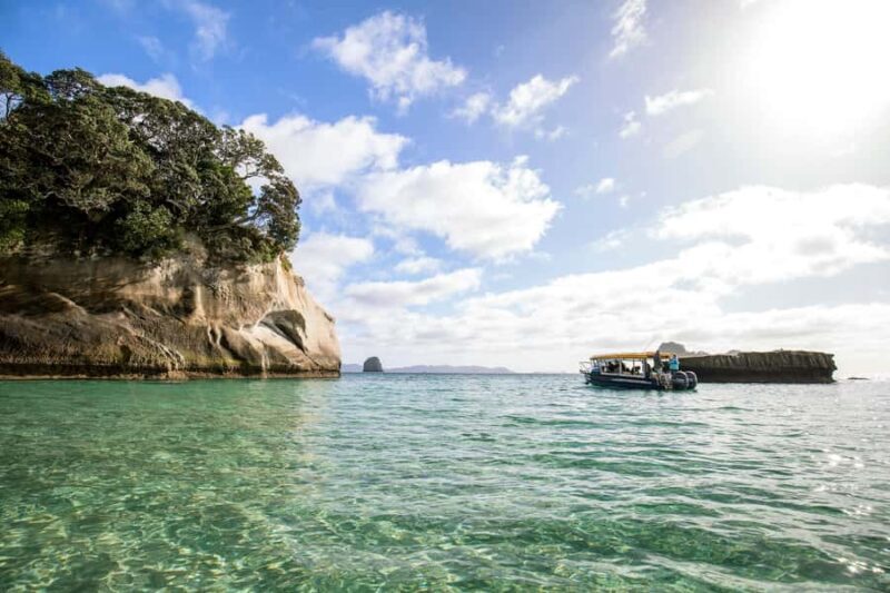 Auckland: Coromandel Driving Creek & Cathedral Cove Day Tour - Final Thoughts