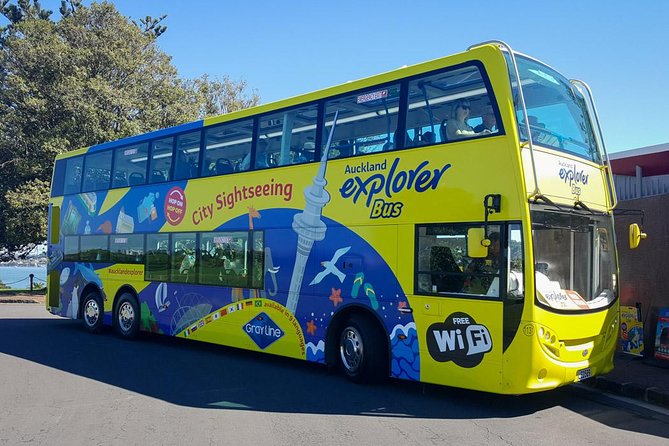 Auckland Explorer: Hop-on Hop-off Tour - Traveler Experience