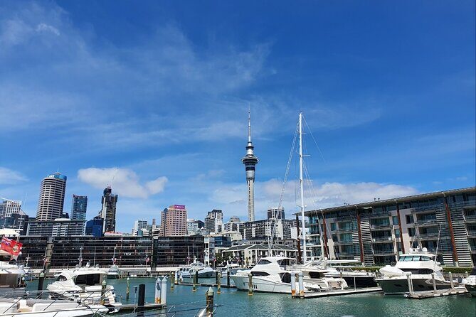 Auckland Full Day Attractions & Museums Tour - The Value of the Experience