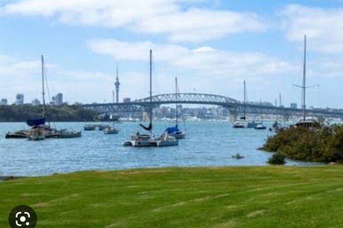 Auckland Full Day Attractions & Museums Tour - Who Should Consider This Tour?