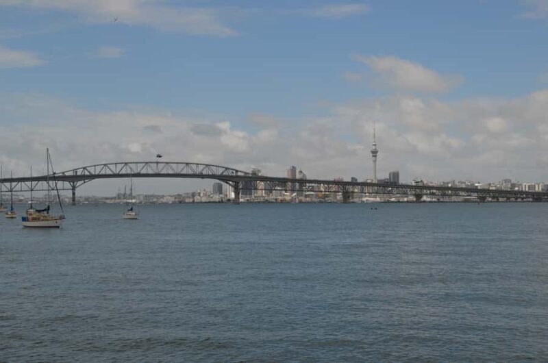 Auckland: Full-Day City Highlights Tour - Good To Know