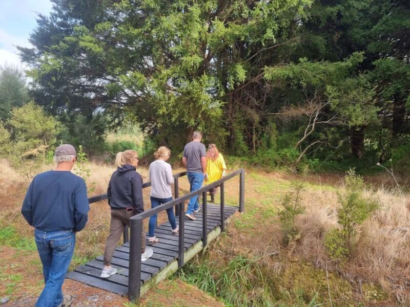 Auckland: Full-Day Jade Carving, Honey Tasting & Wine Tour - Discovering Matakana: An Artistic and Natural Haven Just 45 Minutes from Auckland