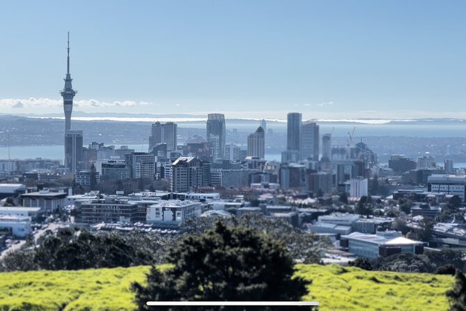 Auckland Full Day City Tour - Tour Information and Logistics