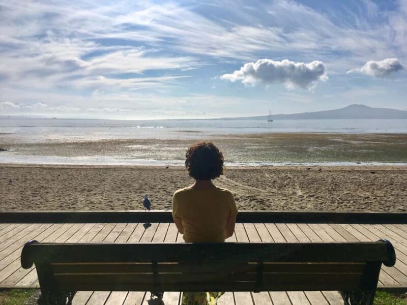 Auckland: Half-Day Auckland Volcanoes Tour - Exploring Auckland’s Volcanoes: What You Can Expect