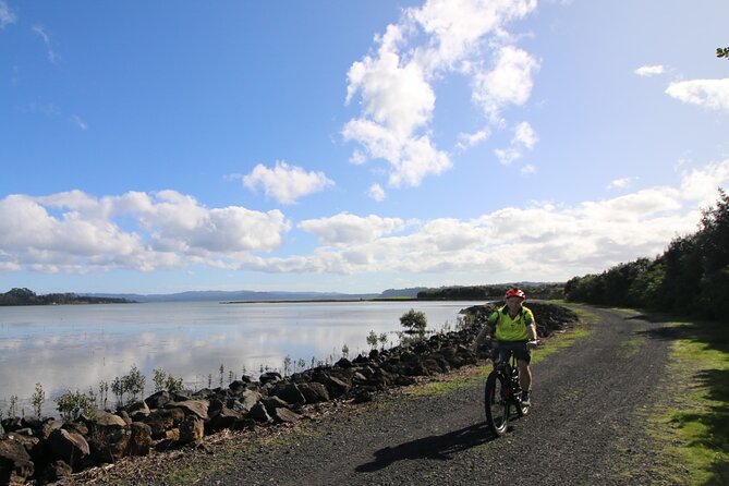 Auckland Half Day E-Bike Excursion - Pricing and Duration