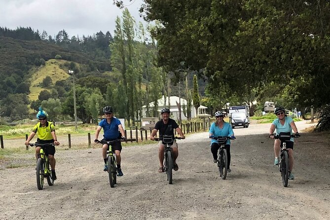 Auckland Half Day E-Bike Excursion - Meeting and Pickup