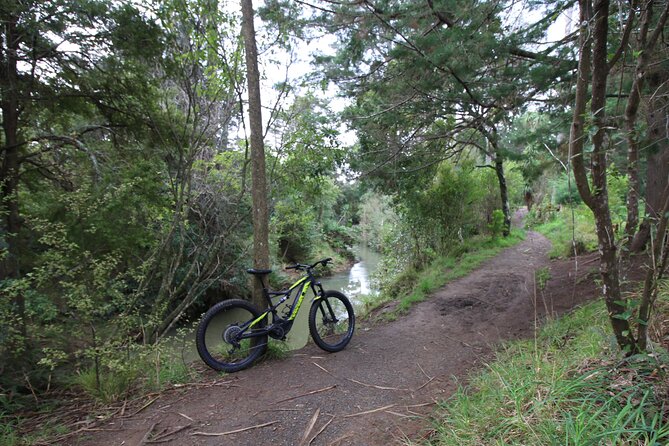 Auckland Half Day E-Bike Excursion - Starting Point and Transportation