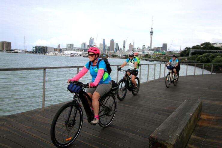 Auckland Half-Day Ebike Tour Excursion - Tour Overview
