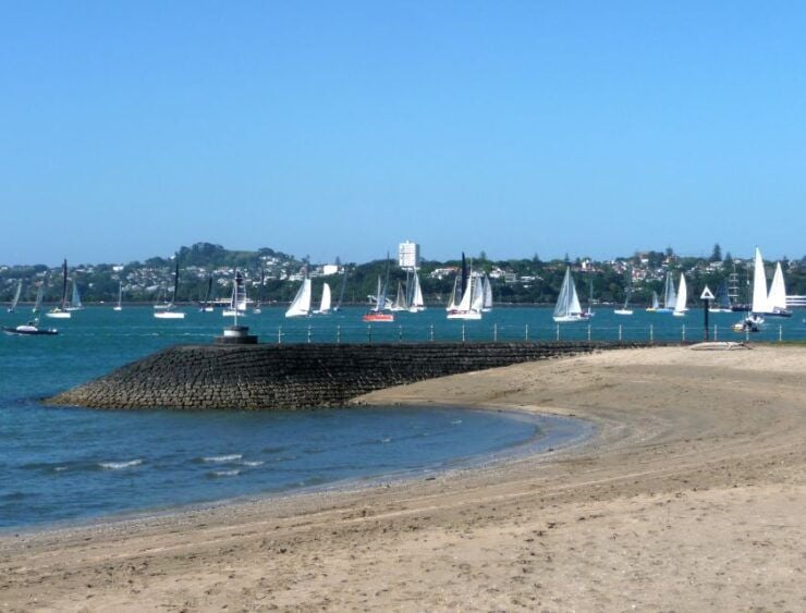 Auckland: Half-Day Private City Highlights Tour - Tour Details and Logistics