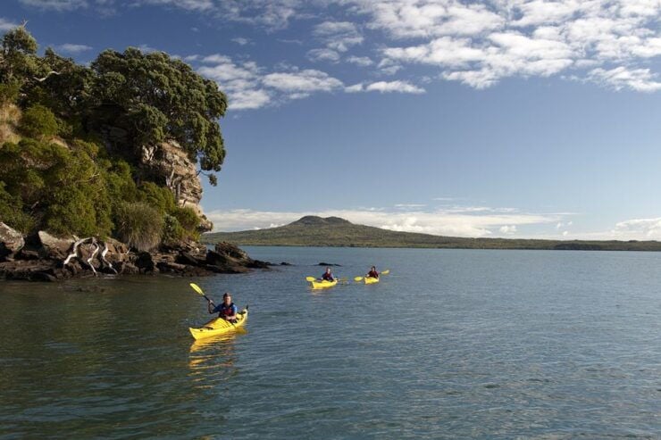 Auckland: Half-Day Sea Kayak Tour to Motukorea Island - Tour Highlights