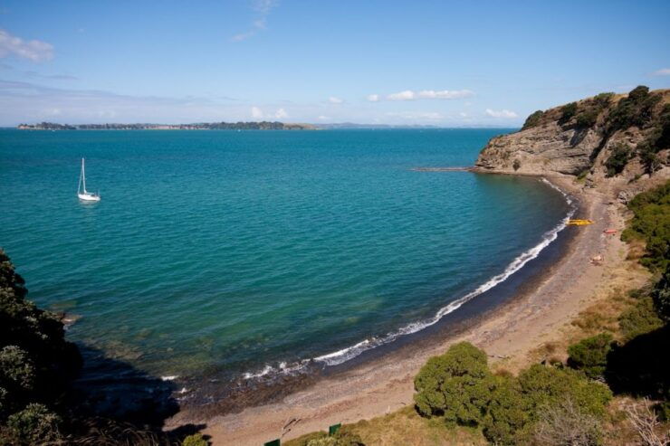 Auckland: Half-Day Sea Kayak Tour to Motukorea Island - Tour Description