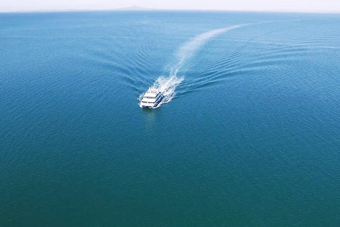 Auckland Harbour Cruise - What to Expect from the Auckland Harbour Cruise