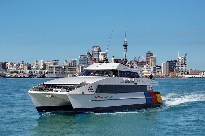 Auckland Harbour Cruise - Authentic Experiences and Reviewer Insights