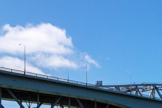 Auckland Harbour Cruise - Who Should Consider This Tour?