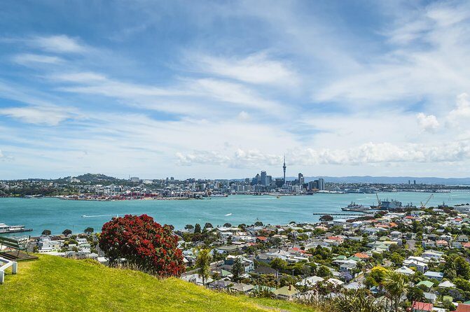 Auckland Harbour Cruise - FAQs About the Auckland Harbour Cruise