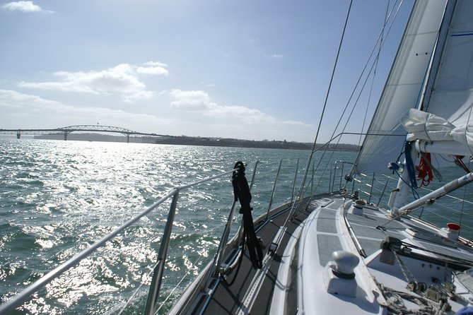 Auckland Harbour Sailing Experience - Pricing and Reviews