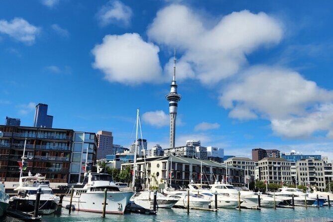 Auckland Highlights Full Day Guided Tour - Good To Know