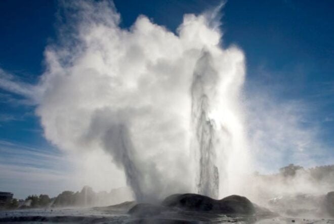 Auckland: Hobbiton and Rotorua With Te Puia Tour - Full Description