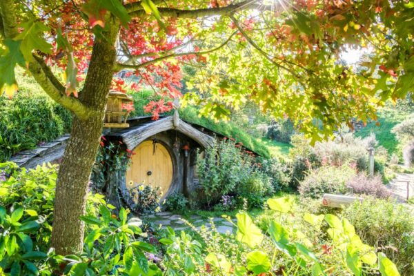 Auckland: Hobbiton Movie Set Tour With Lunch - Common Questions