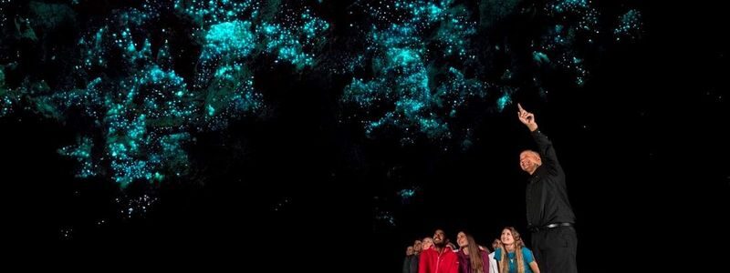 Auckland Hobbiton & Waitomo Caves Full-Day Tour - A long day with two very different rewards