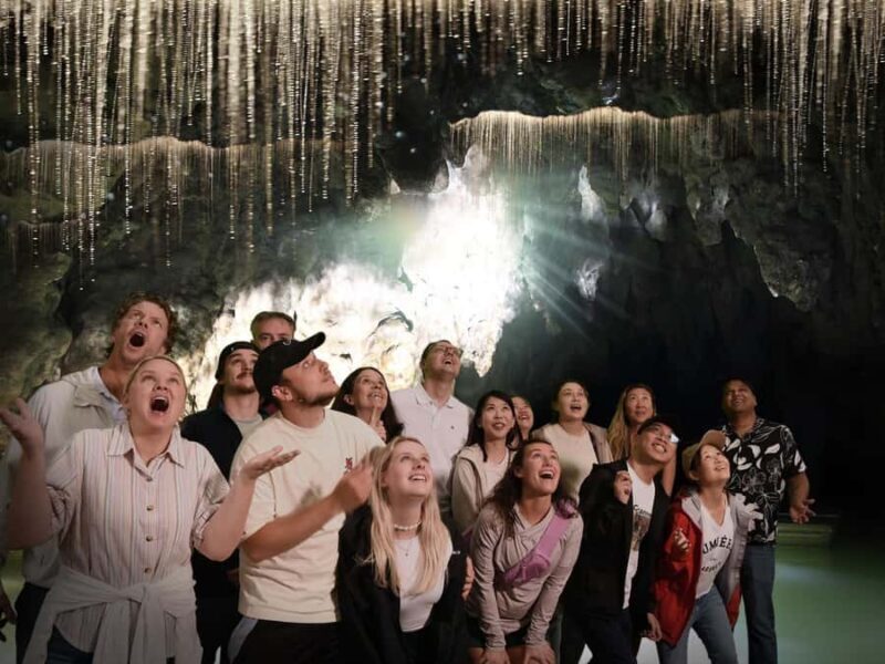 Auckland: Hobbiton & Waitomo Caves Small-Group Tour & Lunch - Who Is This Tour Best For?