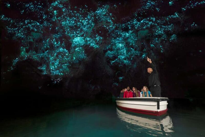 Auckland: Hobbiton & Waitomo Glow Worm Caves Private Tour - Who Would Love This Tour?