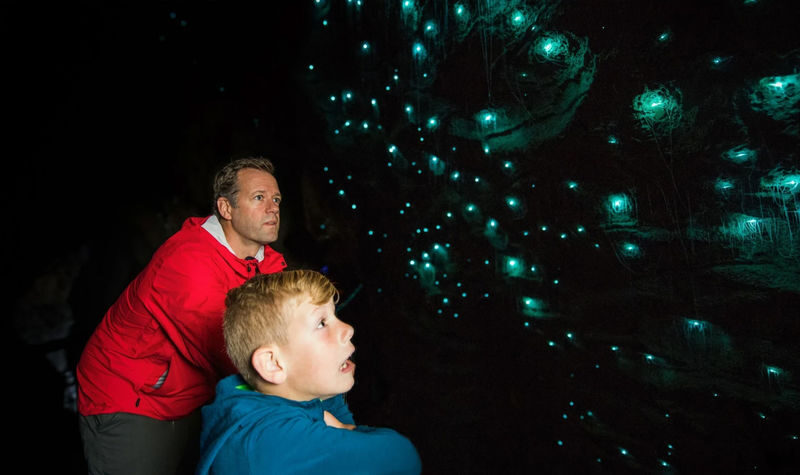 Auckland Hobbiton & Waitomo Glowworm Caves Day Tour - Is $331.69 good value?