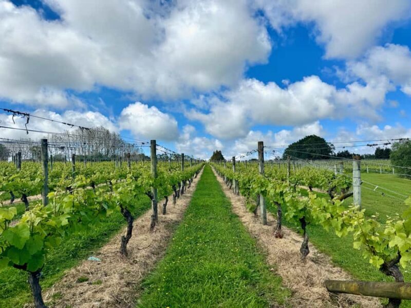 Auckland: Kumeu Wine Tasting Tour and Black Sand Beach - Good To Know