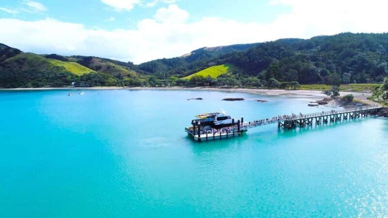 Auckland: Man O' War Vineyard Ferry (Waiheke Island) - Practicalities and Tips
