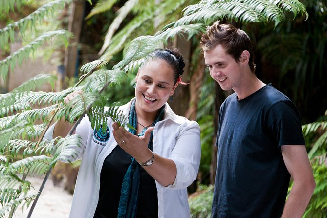Auckland Maori Tour - Additional Information