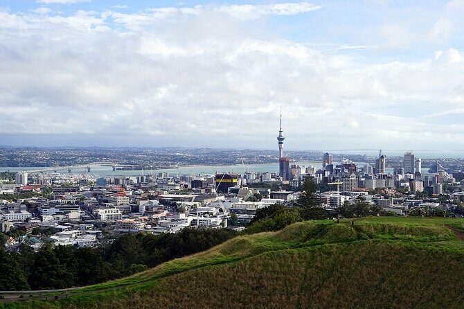 Auckland Museum and Highlight Sightseeing Tour - Who is This Tour Best Suited For?