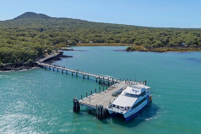 Auckland Natural Caves and Tunnels Private VIP Tour - The Journey Begins in Devonport