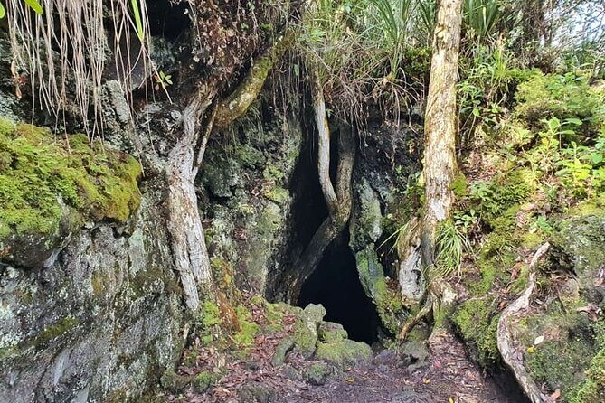 Auckland Natural Caves and Tunnels Private VIP Tour - North Piha: Rugged Coastal Caves