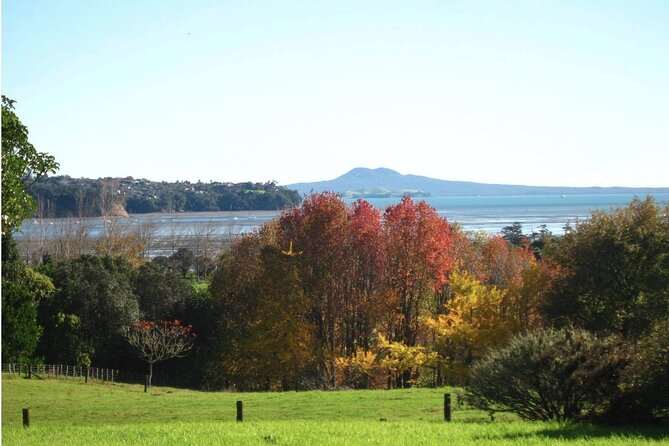 Auckland Nature Tour - Scenic Highlights