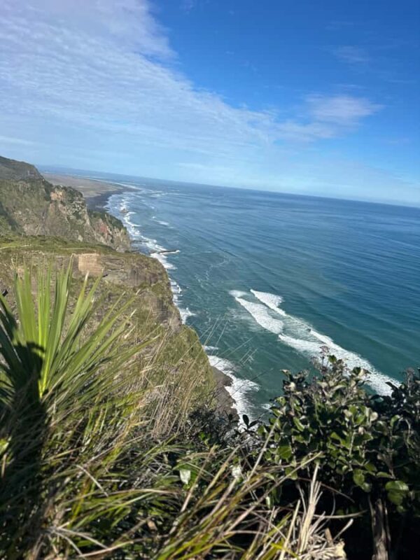 Auckland: Piha Beach, Rainforest, & Mount Eden Private Tour - Who Should Consider This Tour?