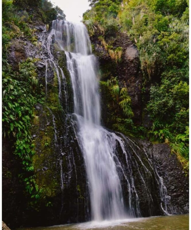 Auckland: Piha Beach, Rainforest, & Mount Eden Private Tour - Final Thoughts