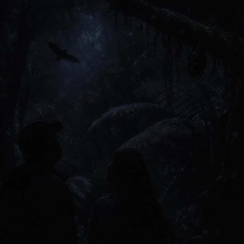 Auckland: Piha Native Bat Discovery Walking Tour - Introduction