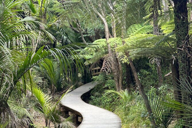 Auckland Private City Highlights Tour 5hrs Sightseeing Experience - FAQs