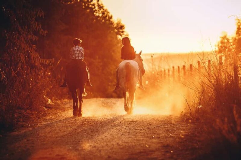 Auckland: Private Horseback Ride + Lunch + Wine + Pick up - Good To Know