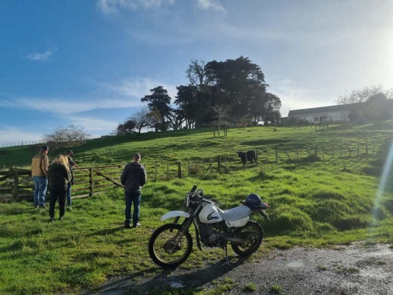 Auckland: Private Sheep & Beef Working Farm Tour - What to Expect from This Farm Tour