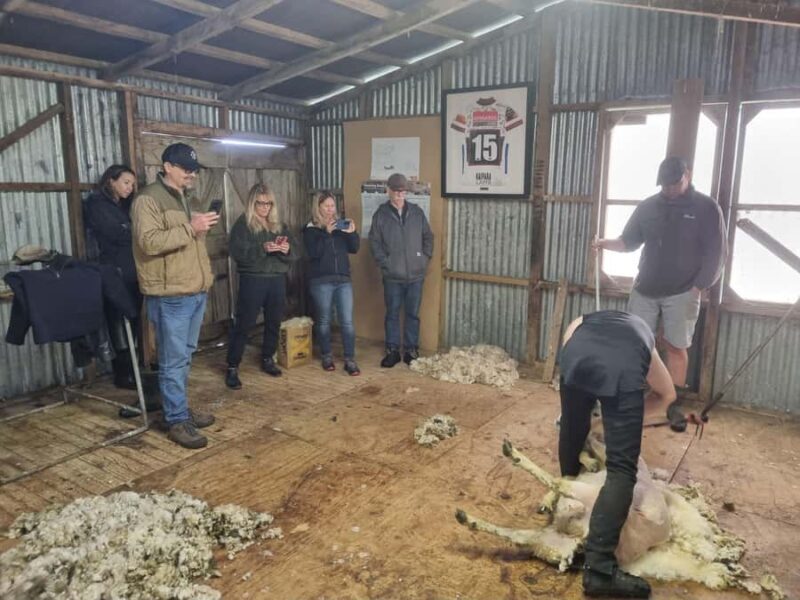 Auckland: Private Sheep & Beef Working Farm Tour - Who Will Appreciate This Tour?