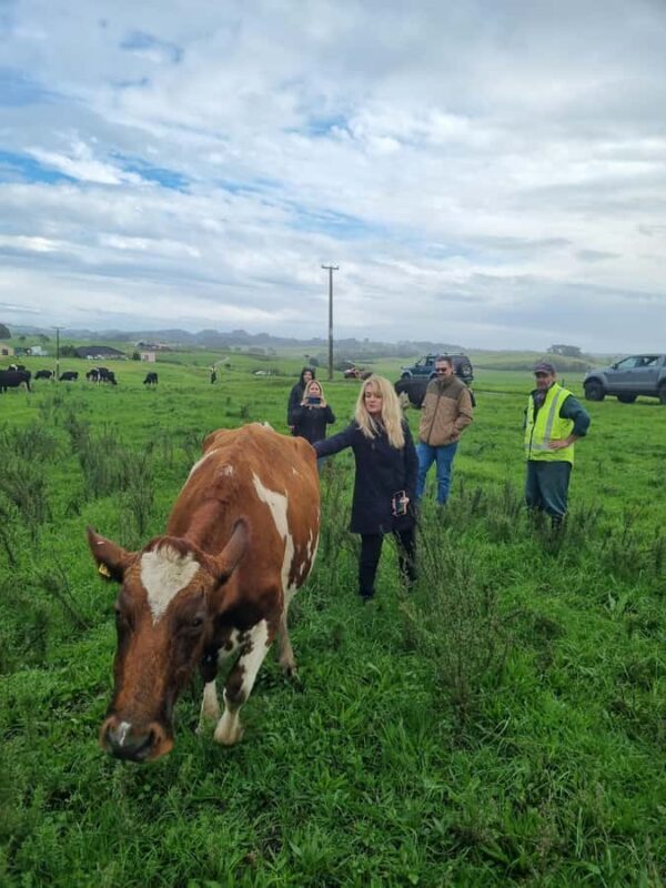 Auckland: Private Sheep & Beef Working Farm Tour - FAQs