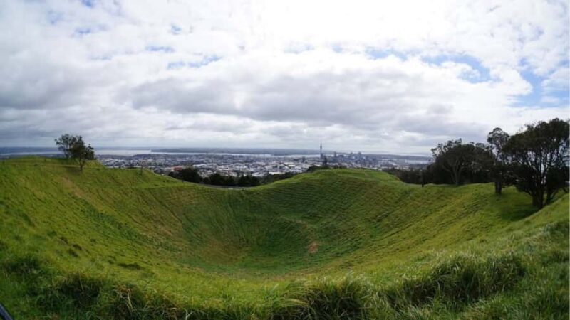 Auckland: Private Sightseeing Full or Half Day Guided Tour - The Practical Side: Transportation, Timing, and Value
