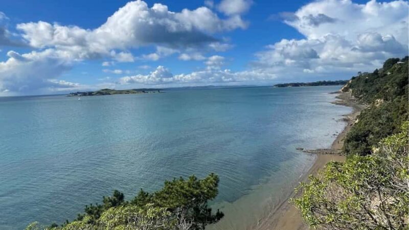 Auckland: Private Sightseeing Full or Half Day Guided Tour - The Sum Up