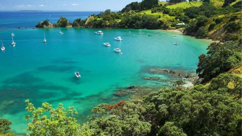 Auckland: Private Sightseeing Full or Half Day Guided Tour - Frequently Asked Questions