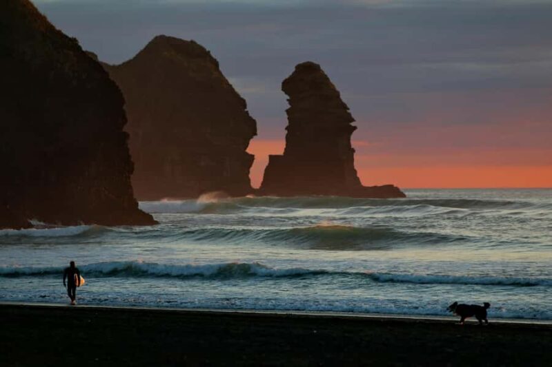 Auckland Private Tour: West Coast Wilderness & Piha Beach - What Makes This Tour Stand Out